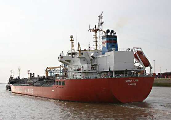 南海奇皇～ネオランガ～ 14131-10(1290) Ship
